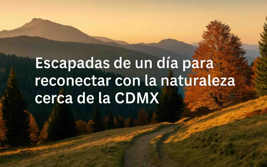 Escapadas de un día para reconectar con la naturaleza cerca de CDMX en noviembre