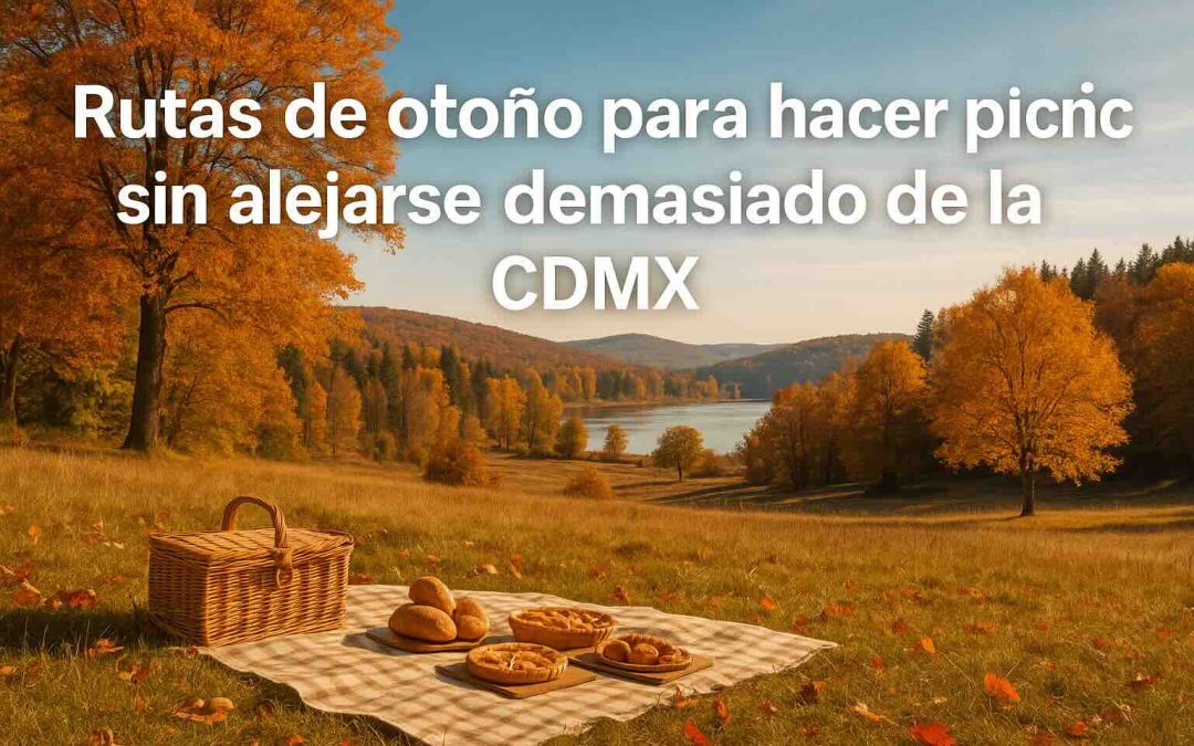 Rutas de otoño para hacer picnic sin alejarse demasiado de la CDMX