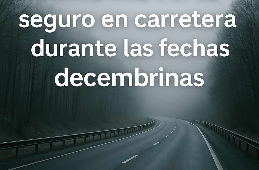 Cómo moverte seguro en carretera durante las fechas decembrinas